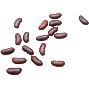 Kidney beans PNG-56904